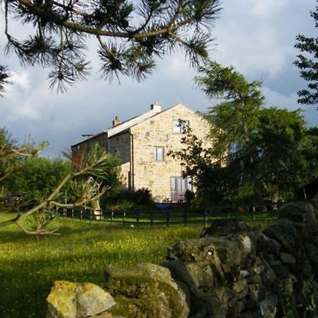 West Nattrass Guest House Alston Exterior photo