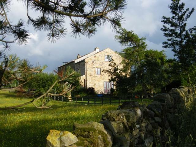 West Nattrass Guest House Alston Exterior photo